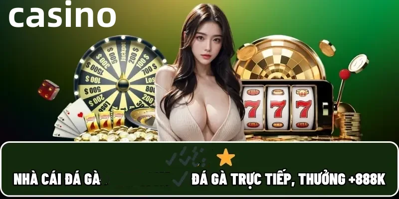 so888
